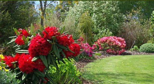 Tui Lodge Turangi Εξωτερικό φωτογραφία